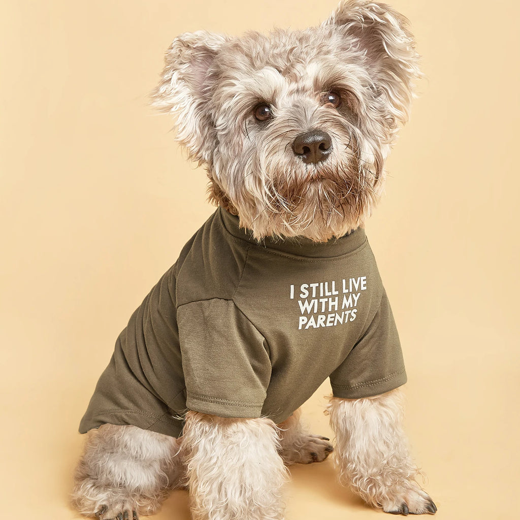 CUTE & COMFY DOG T-SHIRT