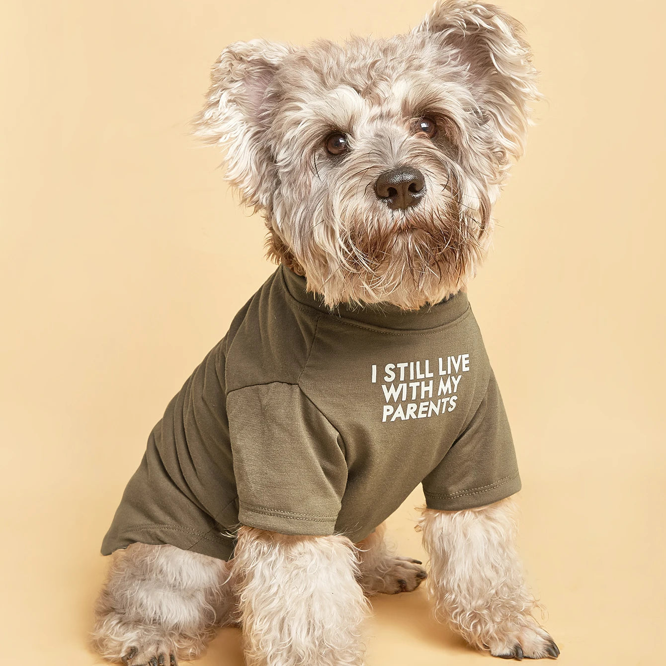 CUTE & COMFY DOG T-SHIRT