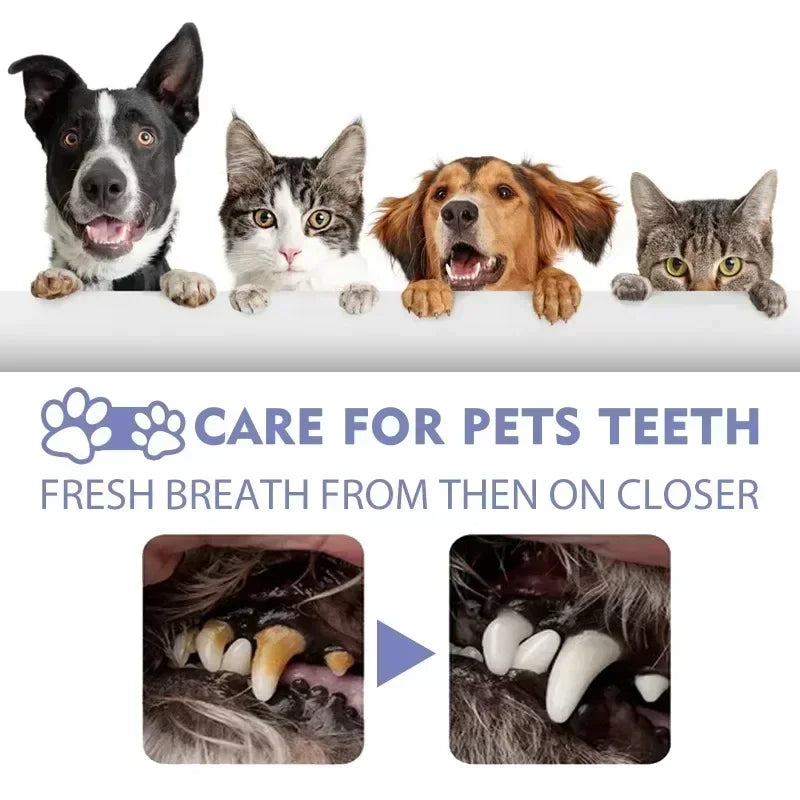 Spray de limpieza dental para mascotas, cuidado bucal, elimina las manchas de dientes, mantiene el aliento fresco para gatos y perros, blanqueamiento, elimina el mal aliento