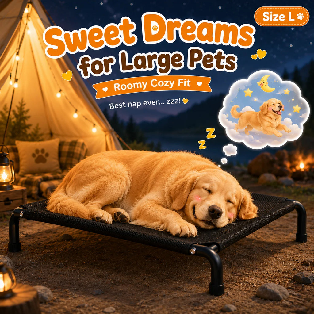 Elevated Pet Bed for Dogs, Washable Dog Bed