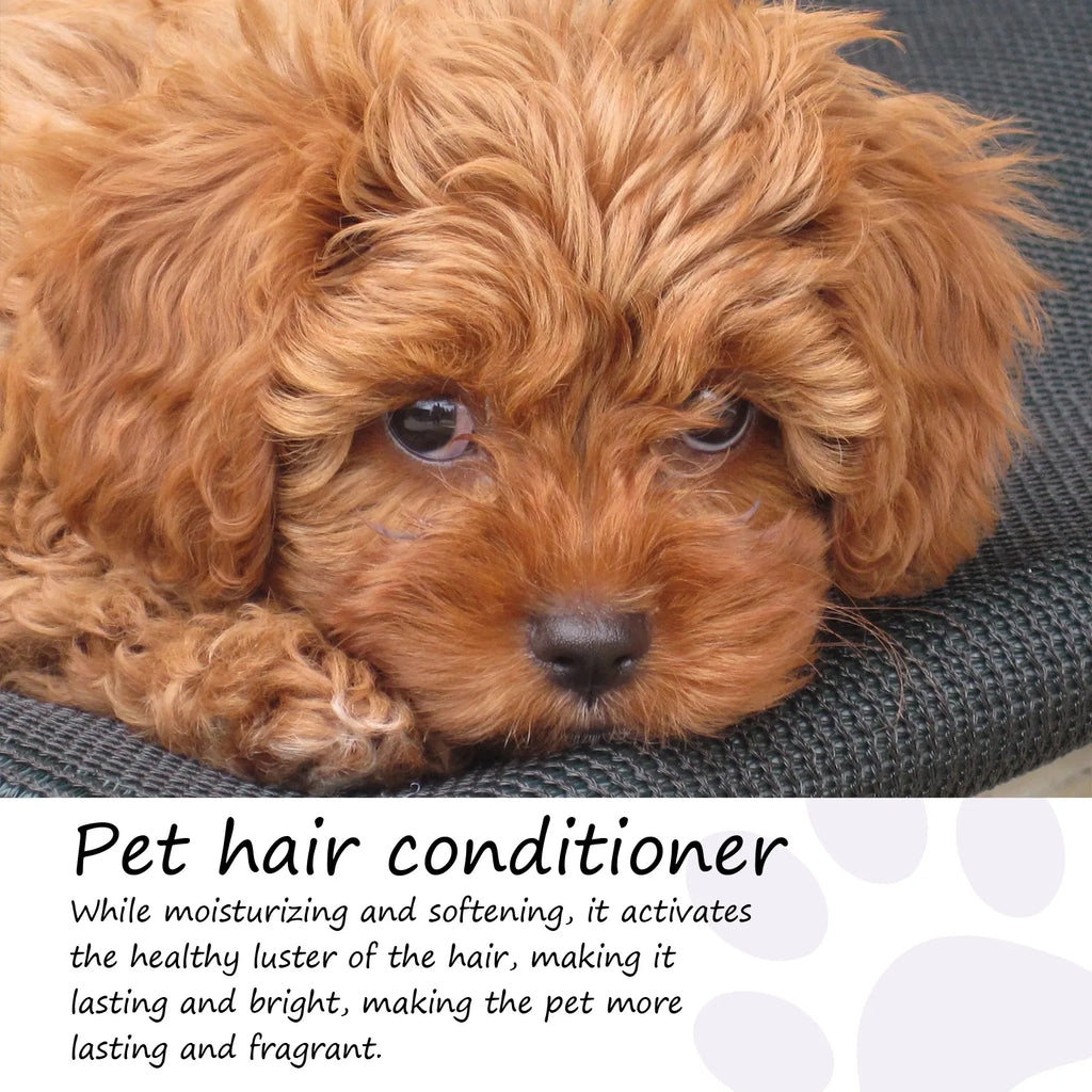 Acondicionador de pelo para mascotas, suavizante del cabello, previene nudos del cabello, limpieza sin baño, eliminación de olores, hidratante, anácaros para gatos, champú para perros