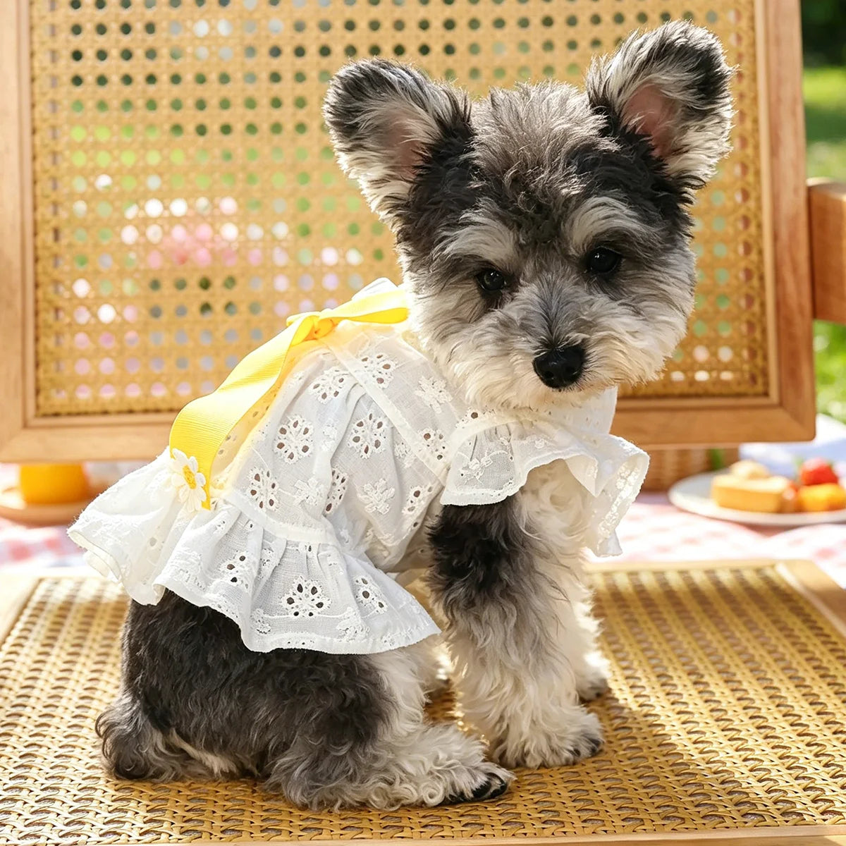 Cute Floral Bow Pet Dress for Small Dogs Cats