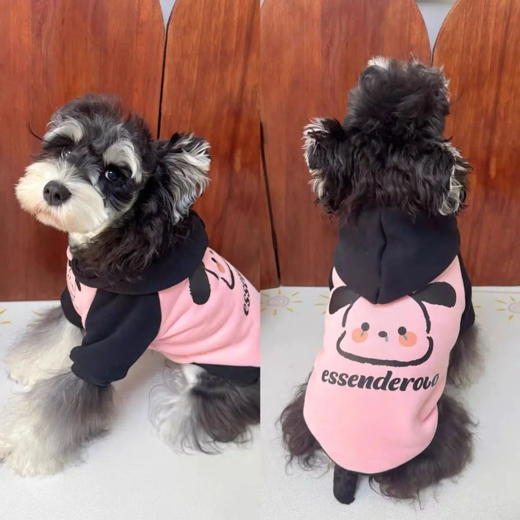 Pet cat and dog clothes trendy brand cool handsome