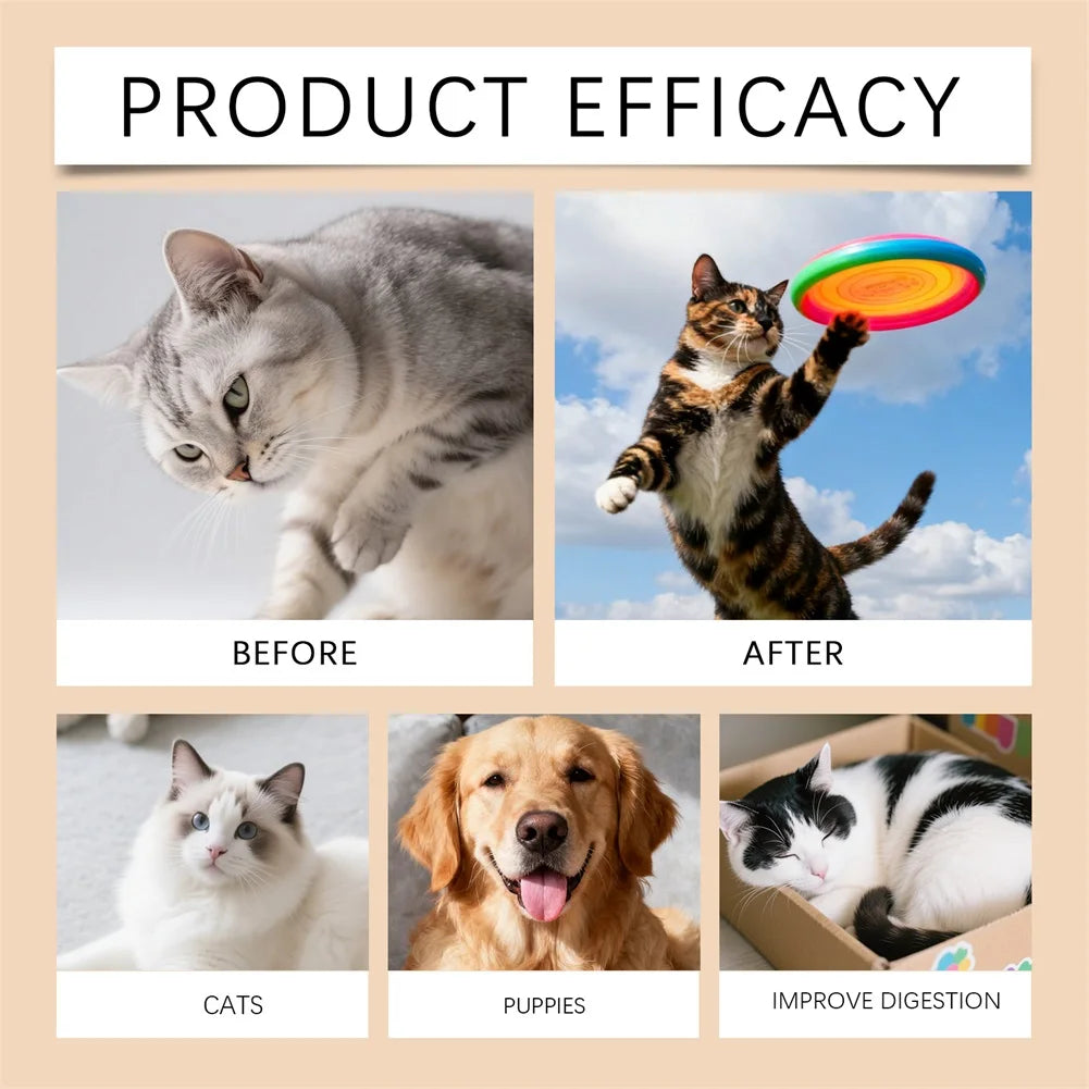 Complejo de vitaminas B de 60ml para perros y gatos, soporte inmunolgico para el cuidado corporal de mascotas, gotas para el cuidado Natural para el crecimiento del pelaje de las mascotas y piel sana