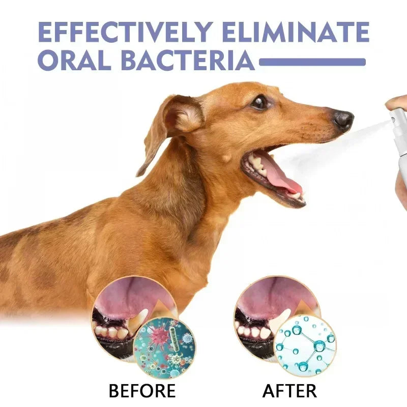 Spray de limpieza dental para mascotas, cuidado bucal, elimina las manchas de dientes, mantiene el aliento fresco para gatos y perros, blanqueamiento, elimina el mal aliento