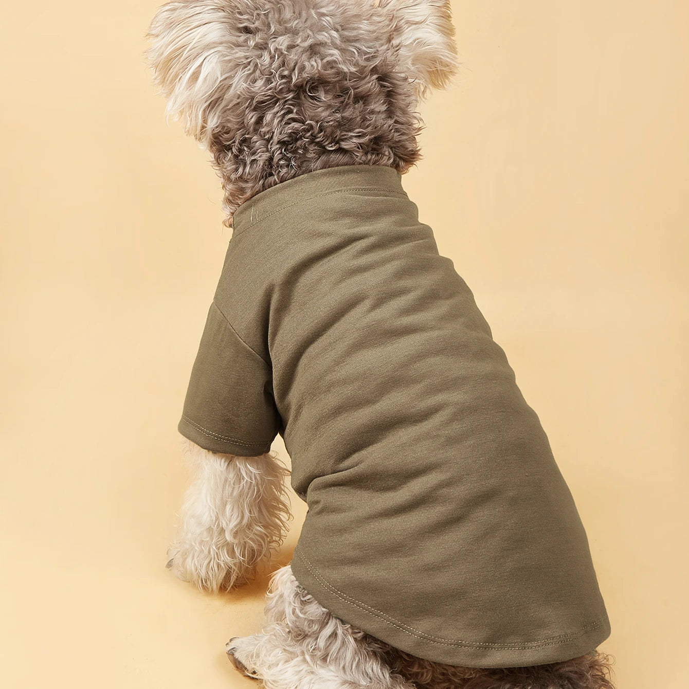 CUTE & COMFY DOG T-SHIRT