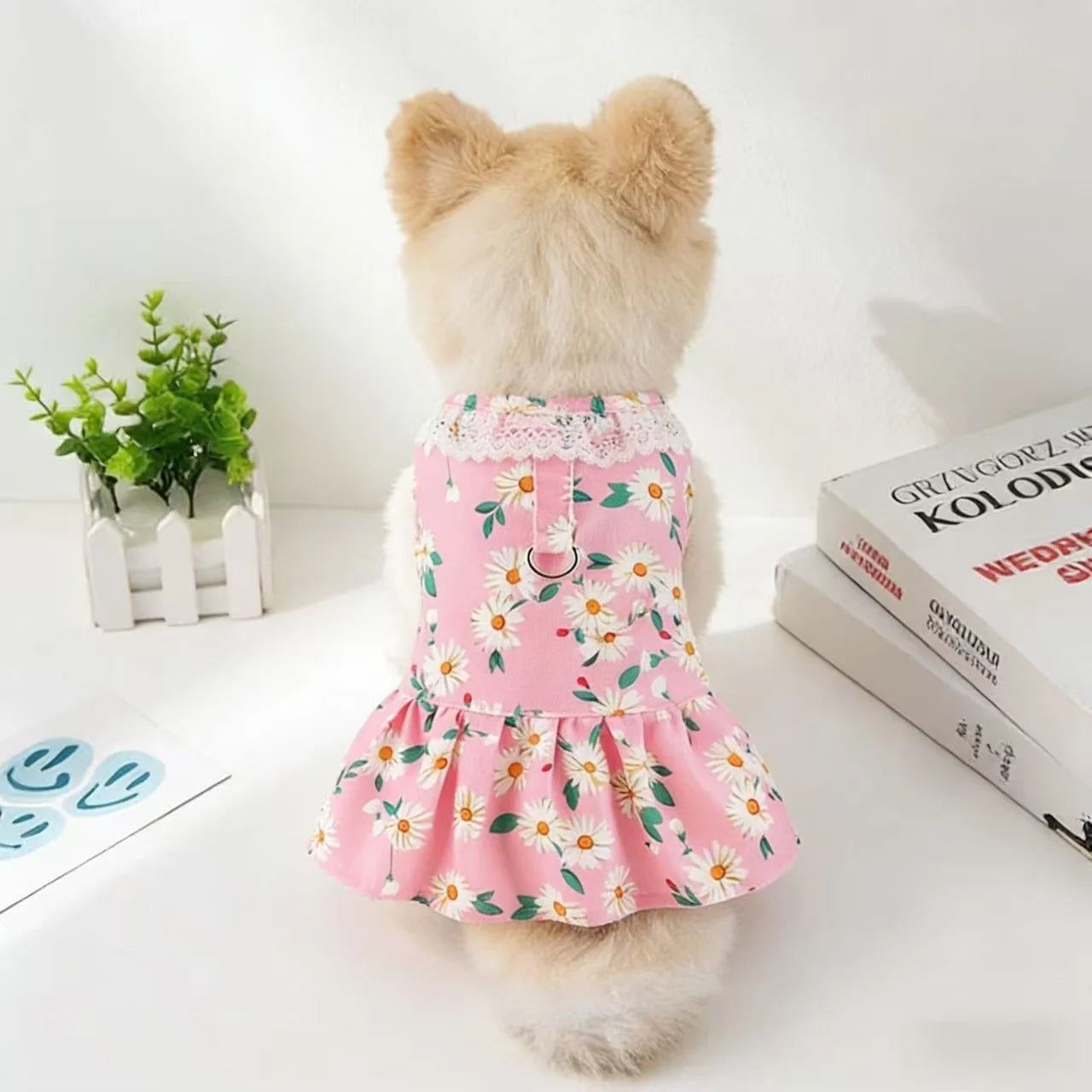 Pet Dog Clothes Spring And Summer