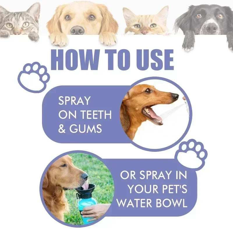 Spray de limpieza dental para mascotas, cuidado bucal, elimina las manchas de dientes, mantiene el aliento fresco para gatos y perros, blanqueamiento, elimina el mal aliento