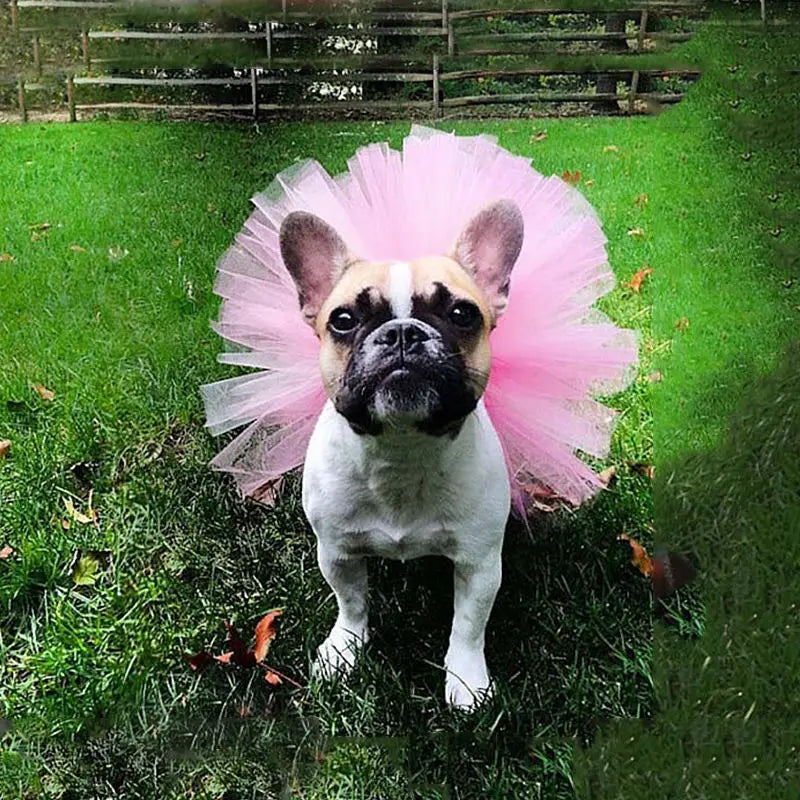 Pet Puppy Small Dog Lace Skirt Princess Tutu
