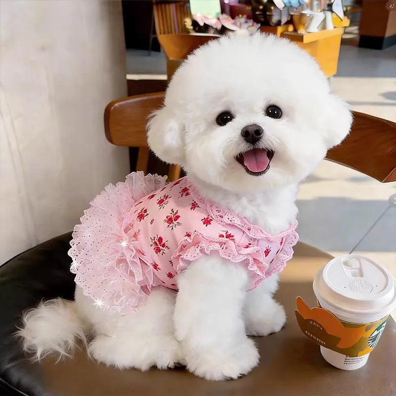 New Pet Clothes Thin Dog Summer