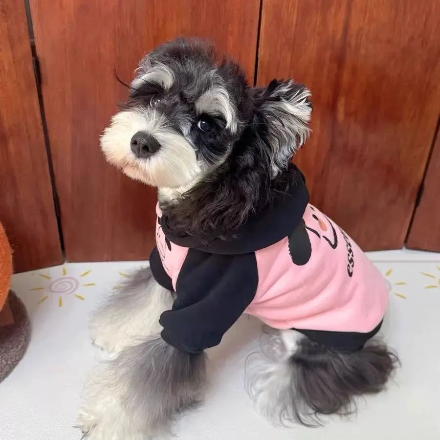 Pet cat and dog clothes trendy brand cool handsome