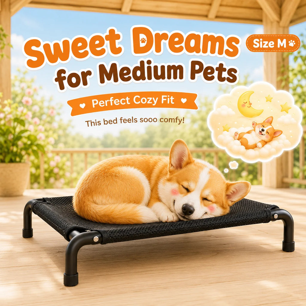 Elevated Pet Bed for Dogs, Washable Dog Bed