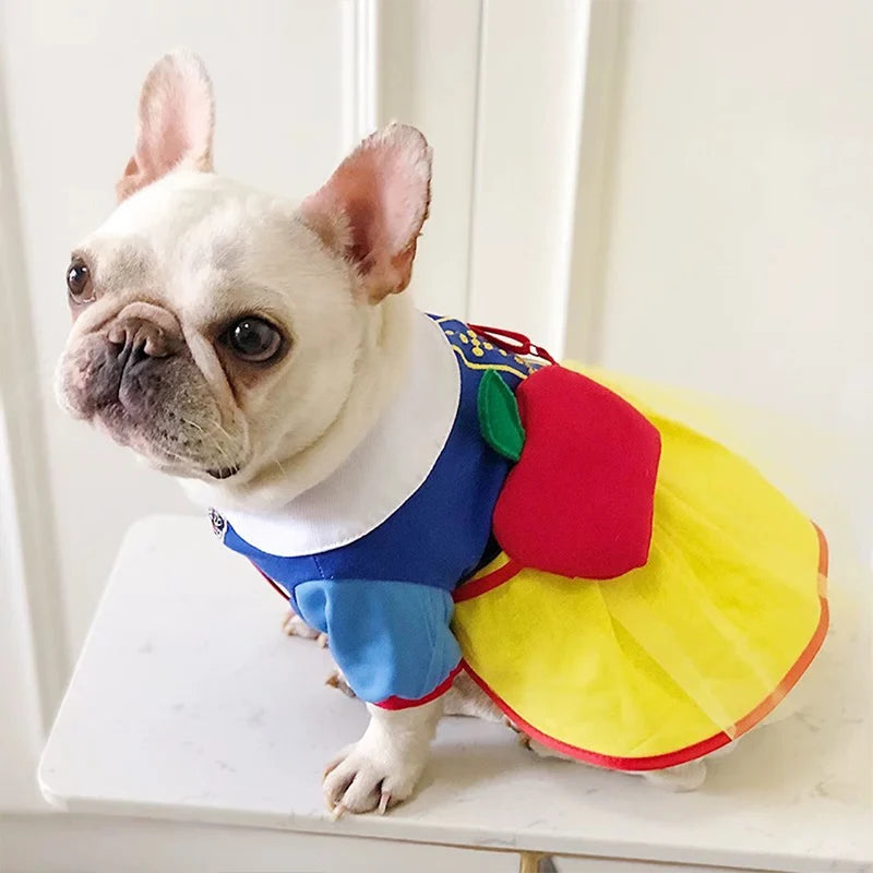 New Pet Dress With Backpack Designer Beautiful