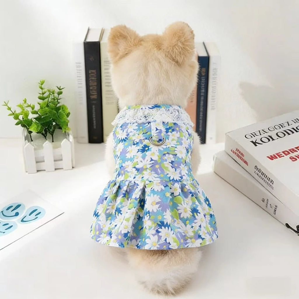 Pet Dog Clothes Spring And Summer