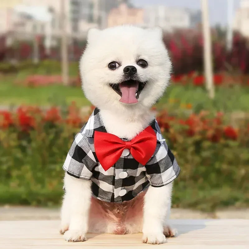 Pet Clothes Dogs Plaid Striped Shirt Teddy Bear Pomeranian