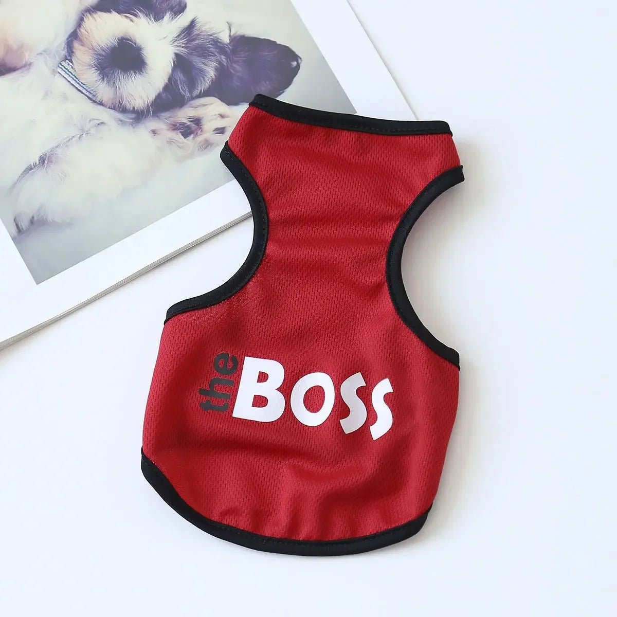 SHORT-SLEEVE DOG T-SHIRT