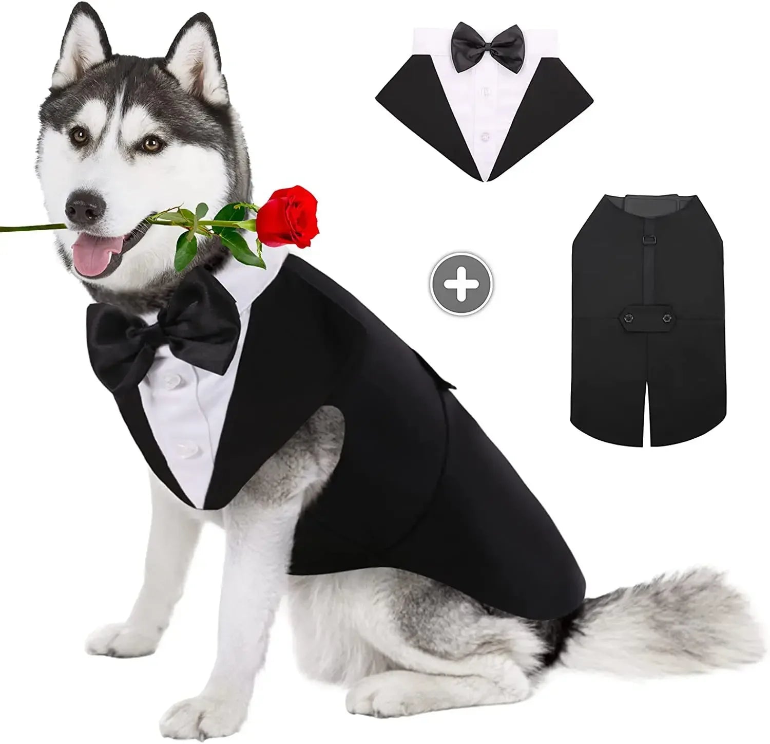 ELEGANT DOG TUXEDO SUIT WITH BOW TIE.