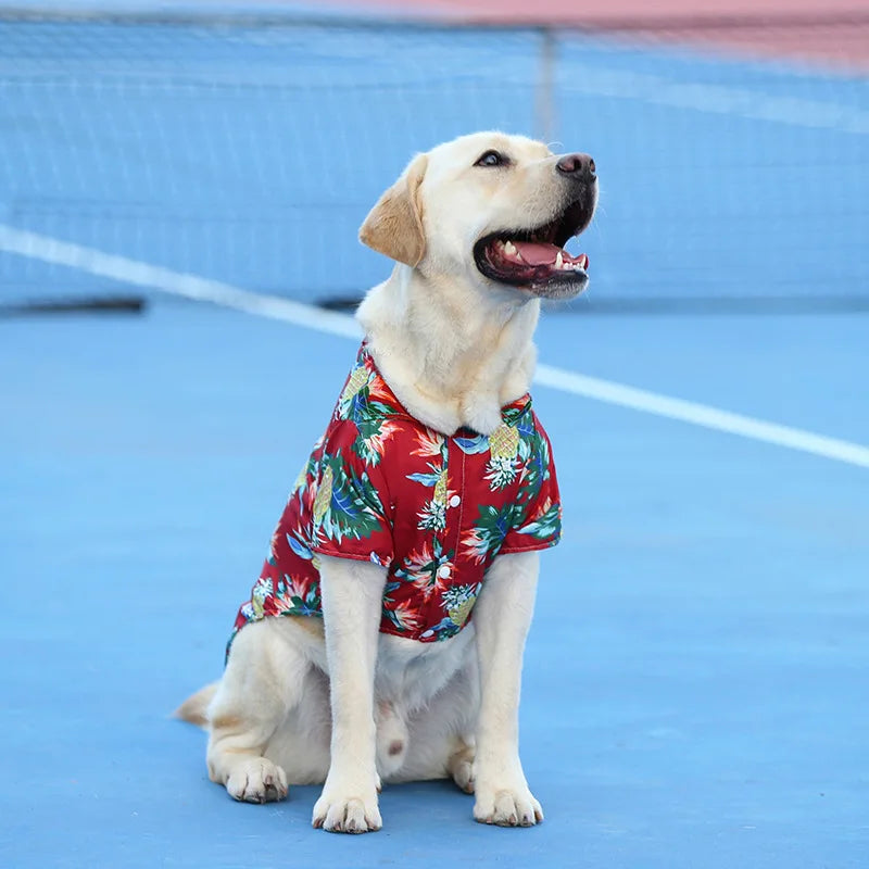 CUTE SHORT-SLEEVE DOG T-SHIRT