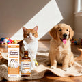 Complejo de vitaminas B de 60ml para perros y gatos, soporte inmunolgico para el cuidado corporal de mascotas, gotas para el cuidado Natural para el crecimiento del pelaje de las mascotas y piel sana