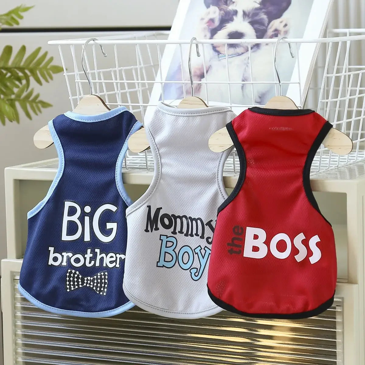 SHORT-SLEEVE DOG T-SHIRT