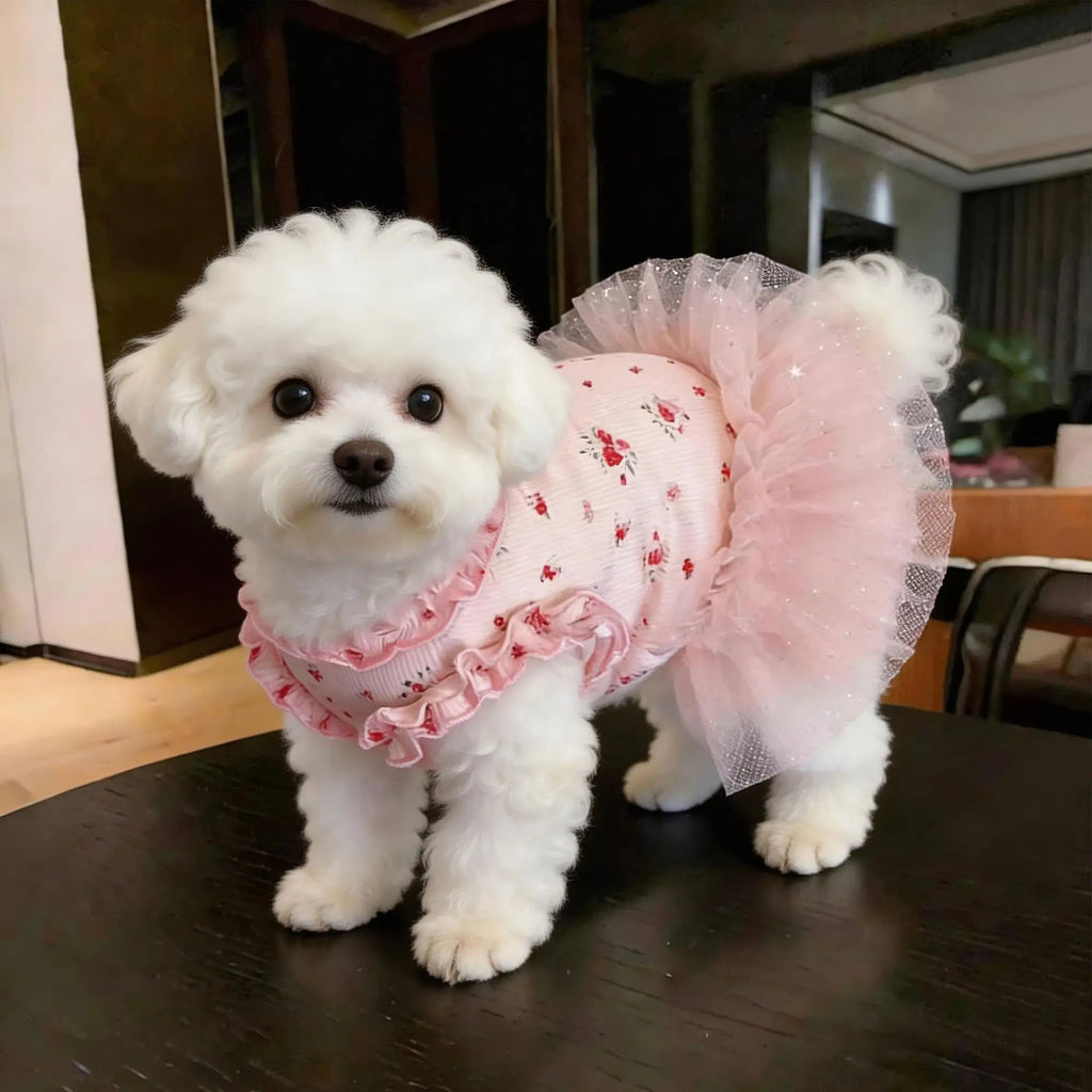 New Pet Clothes Thin Dog Summer