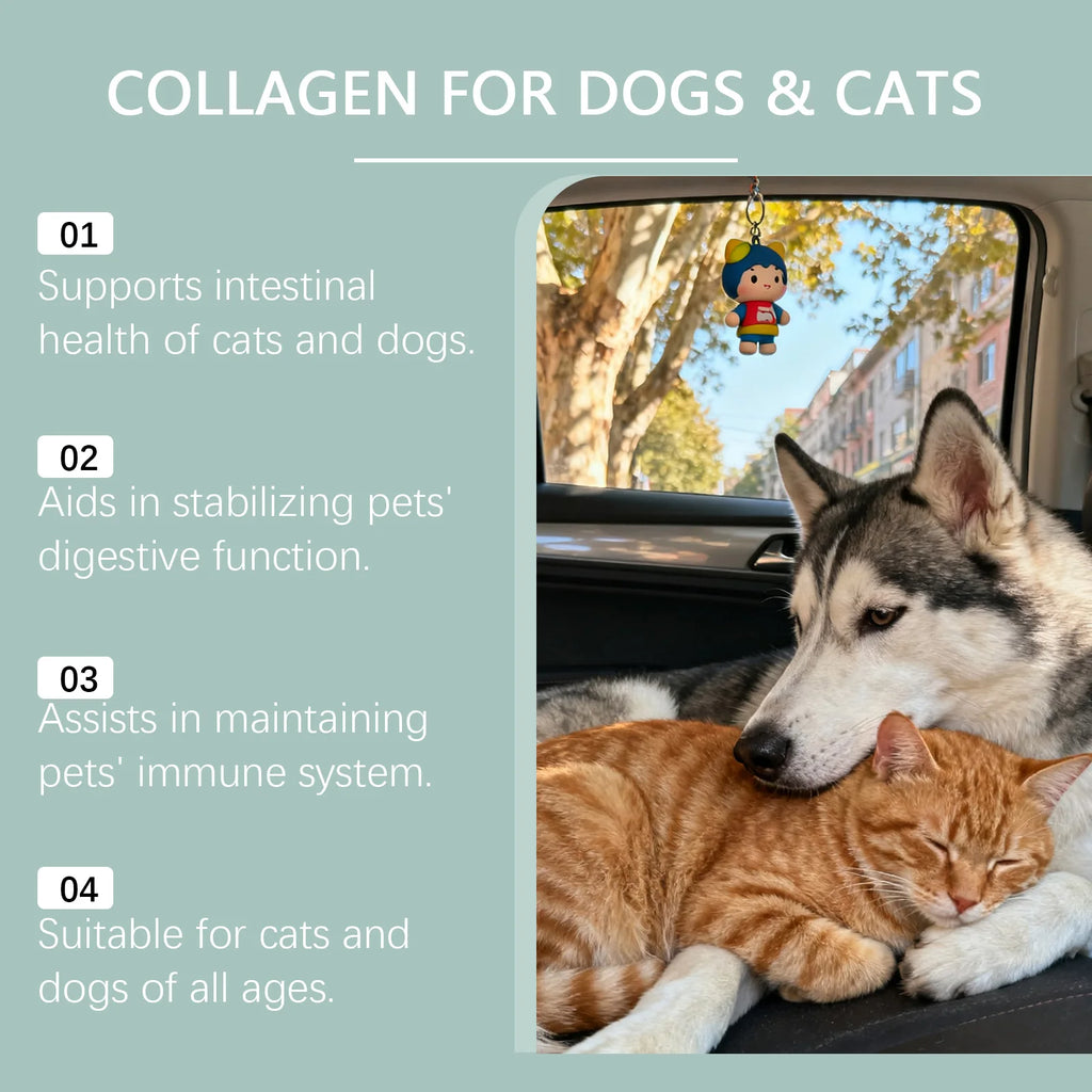 Gotas de Colágeno para Mascotas, Cuidado de las Articulaciones, Nutrición de la Piel y el Pelaje, Apoyo Digestivo, Mantenimiento del Sistema Inmunológico, Suplemento Nutricional Líquido 60ml