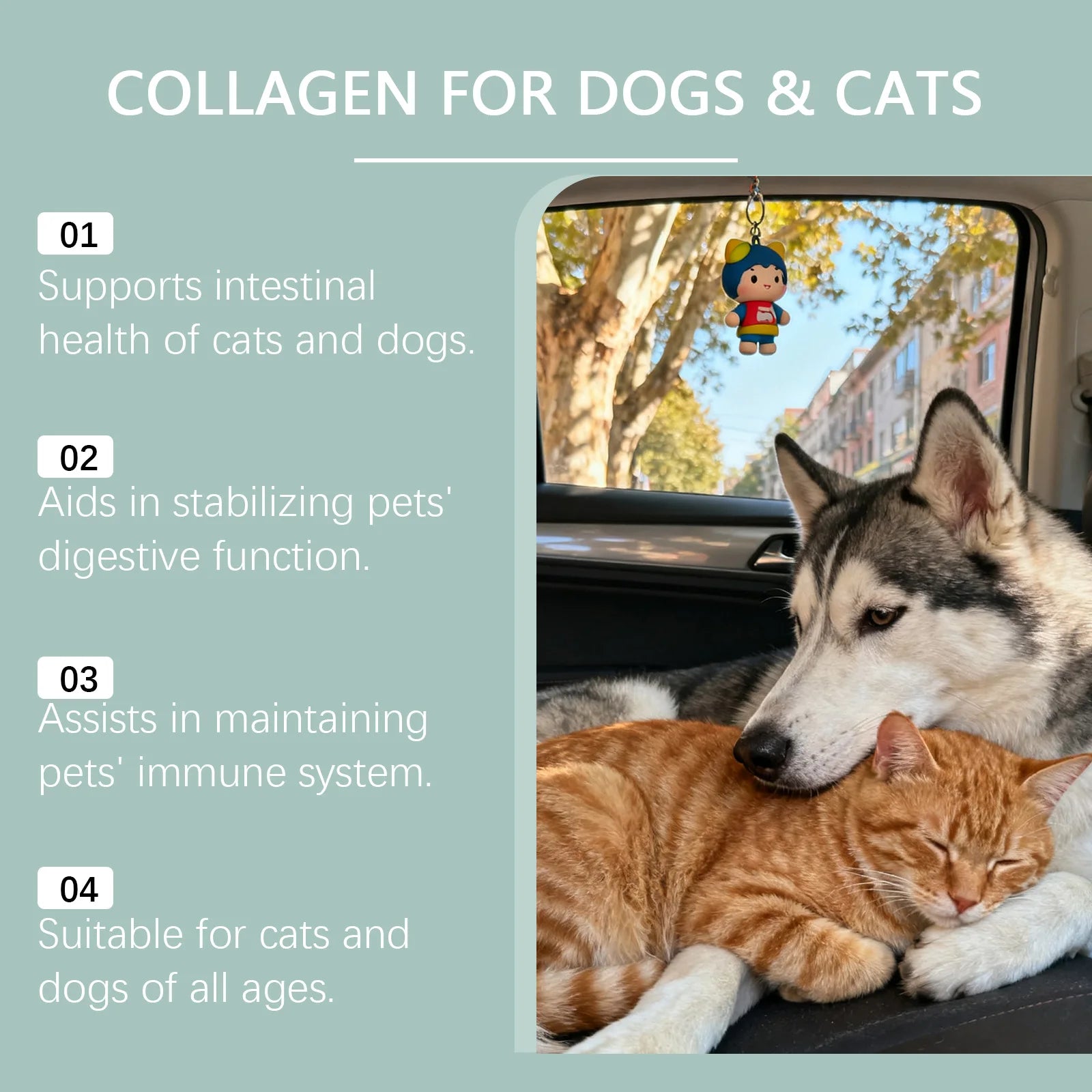 Gotas de Colágeno para Mascotas, Cuidado de las Articulaciones, Nutrición de la Piel y el Pelaje, Apoyo Digestivo, Mantenimiento del Sistema Inmunológico, Suplemento Nutricional Líquido 60ml