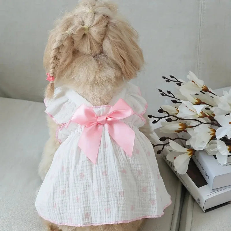Pet dresses accessories clothes for spring and summer dogs