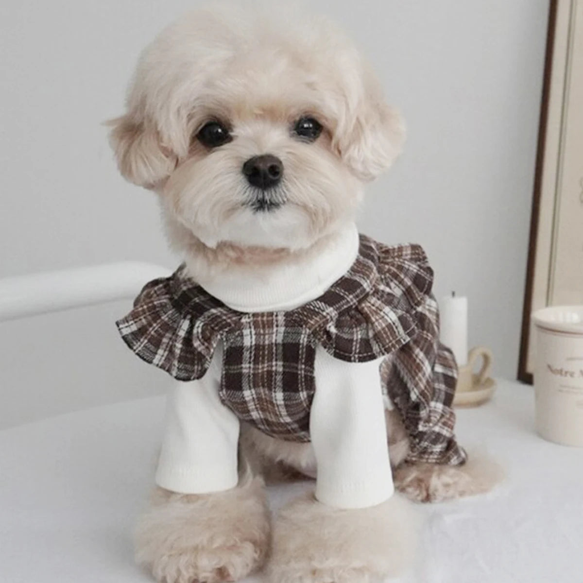 Pet Clothes Dog Dresses Princess Fashion Trend Decorative Clothing