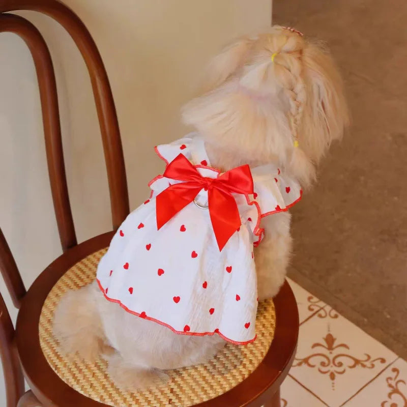 Pet dresses accessories clothes for spring and summer dogs