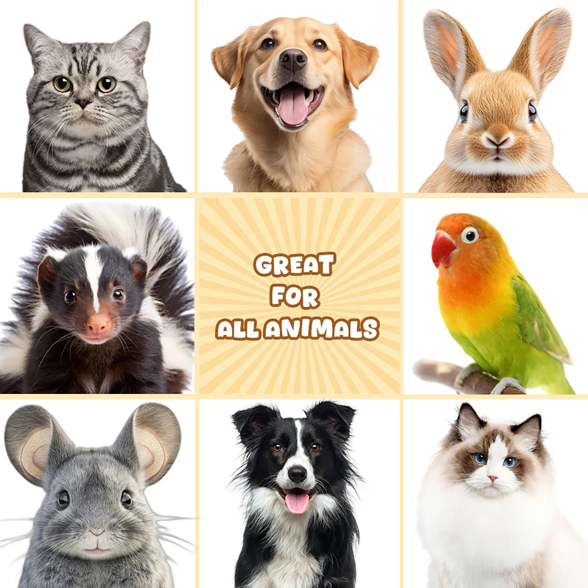 Espuma de Limpieza en Seco para Mascotas Sin Enjuague, Gel de Ducha para Perros, Gatos y Cachorros, Champú Desodorante con Aroma a Avena, Deja Fragancia, Suministros para Mascotas