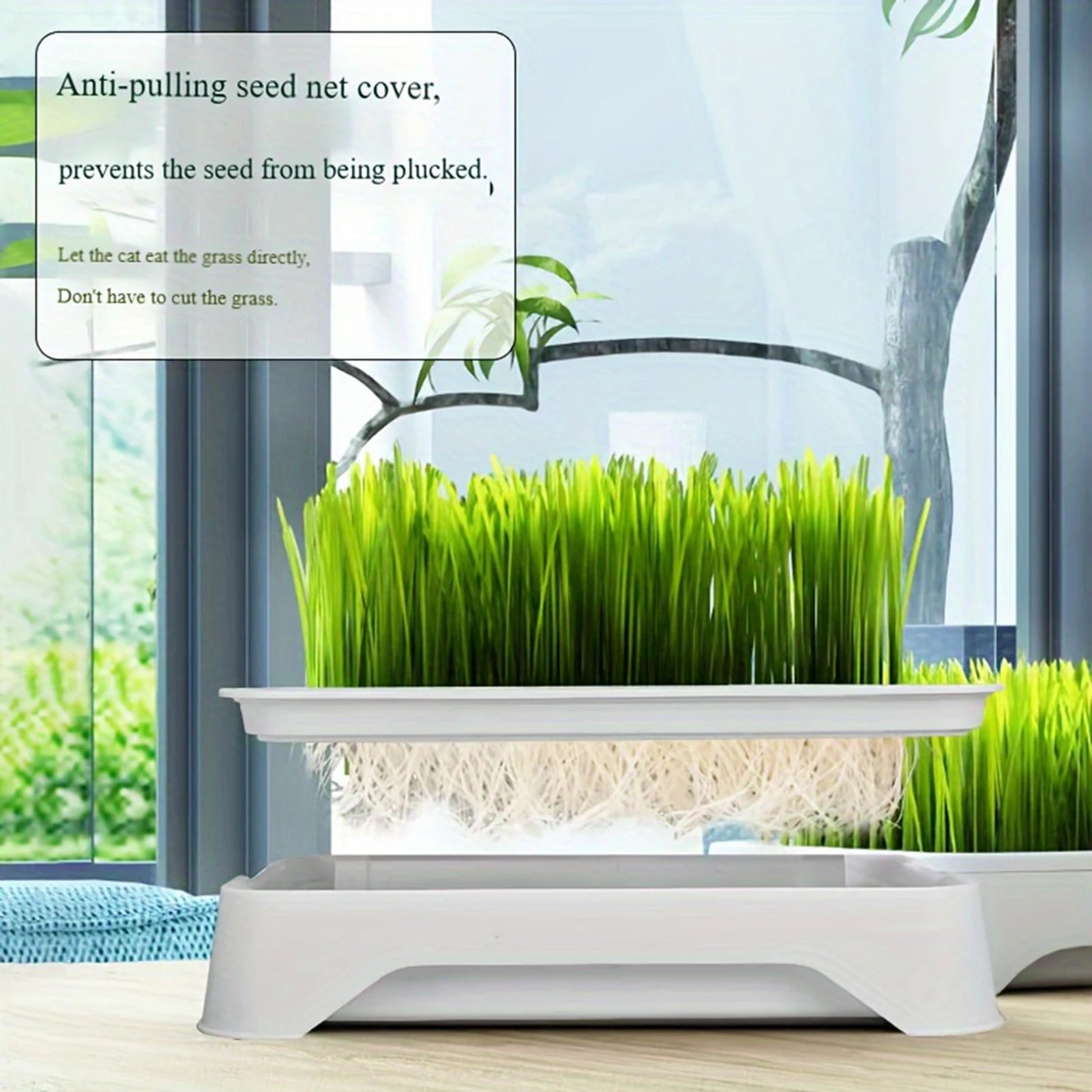 Lavabo para plantar hierba de Gato, cultivo sin suelo, maceta para plántulas de trigo, dispositivo hidropónico de hierba para gatito, maceta para plantar hortícola