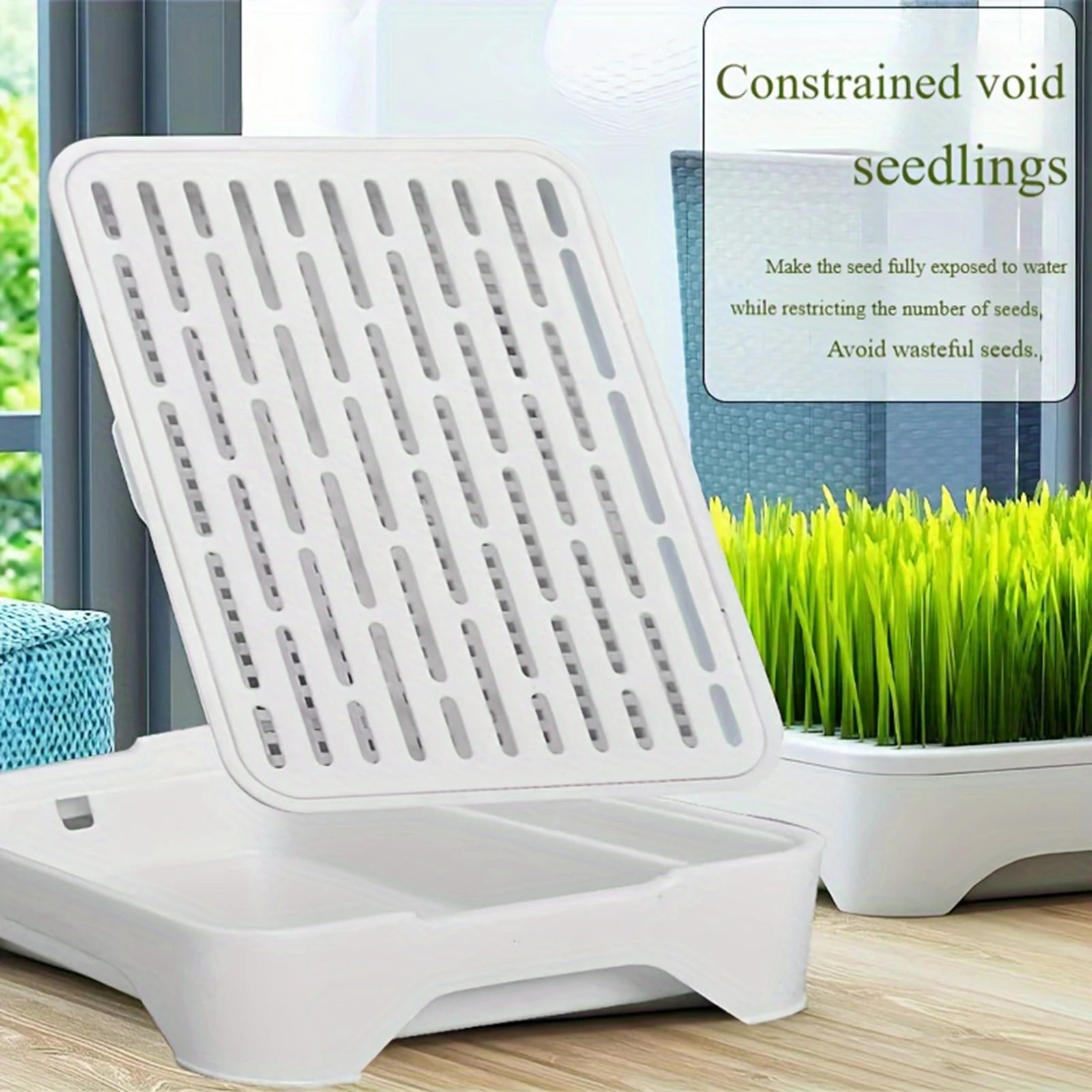 Lavabo para plantar hierba de Gato, cultivo sin suelo, maceta para plántulas de trigo, dispositivo hidropónico de hierba para gatito, maceta para plantar hortícola