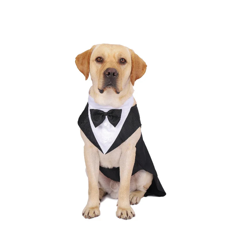 ELEGANT DOG TUXEDO SUIT WITH BOW TIE.