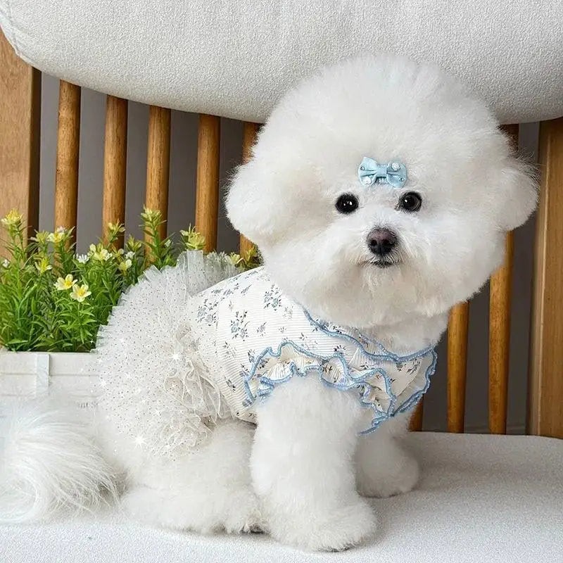 New Pet Clothes Thin Dog Summer