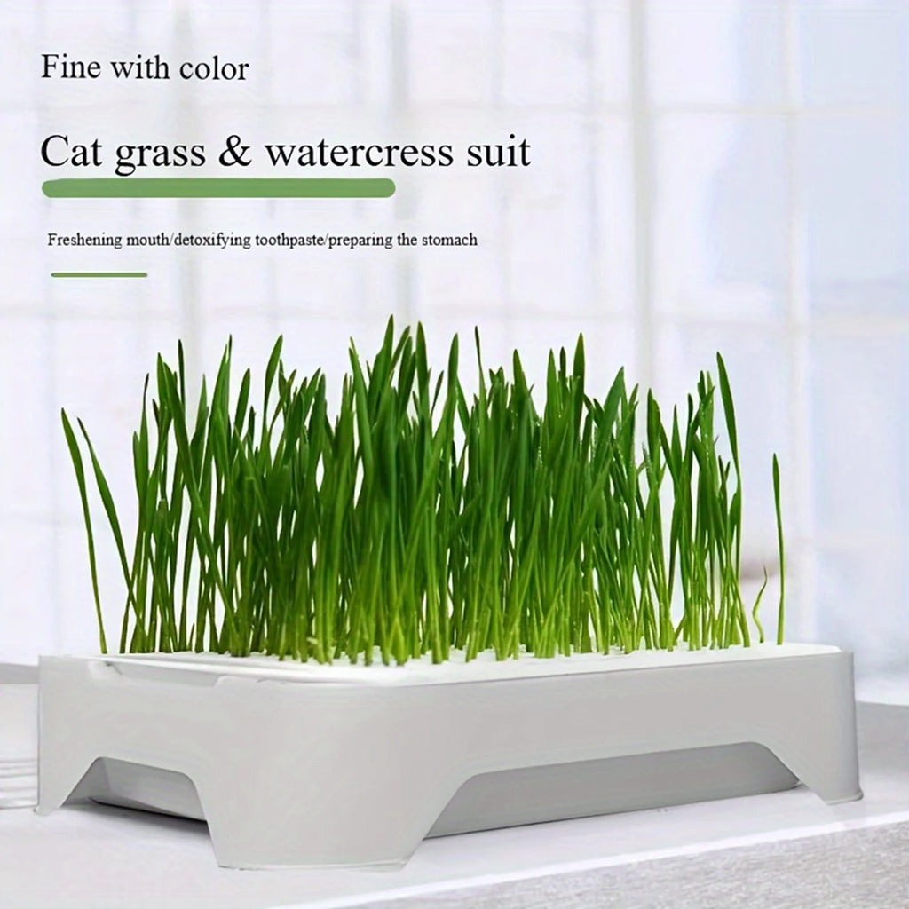 Lavabo para plantar hierba de Gato, cultivo sin suelo, maceta para plántulas de trigo, dispositivo hidropónico de hierba para gatito, maceta para plantar hortícola