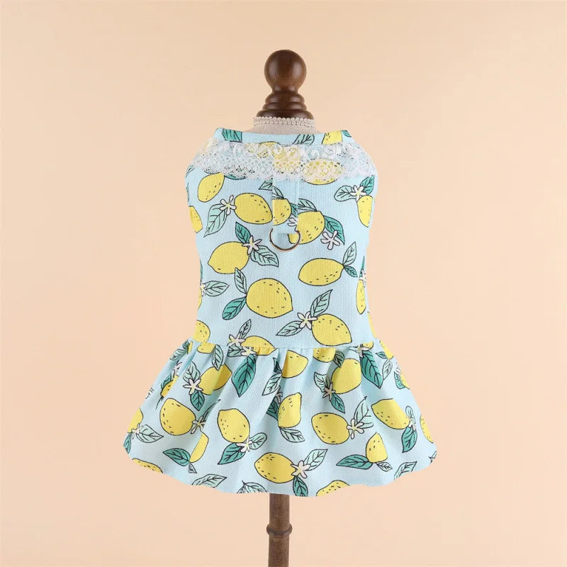 Pet Dog Clothes Spring And Summer