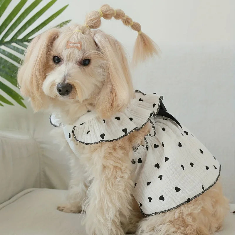 Pet dresses accessories clothes for spring and summer dogs