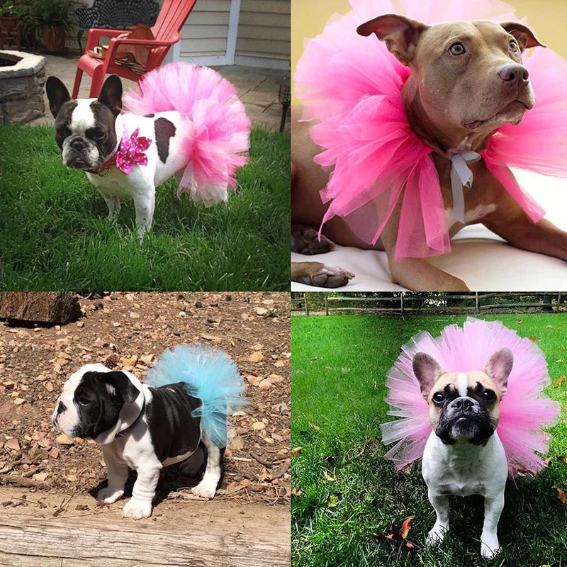 Pet Puppy Small Dog Lace Skirt Princess Tutu