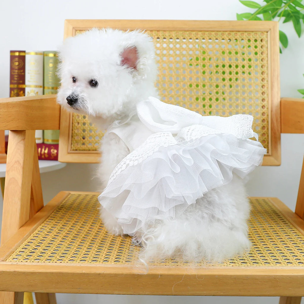 Princess Pet Wedding Dress, Bridal Party Wear