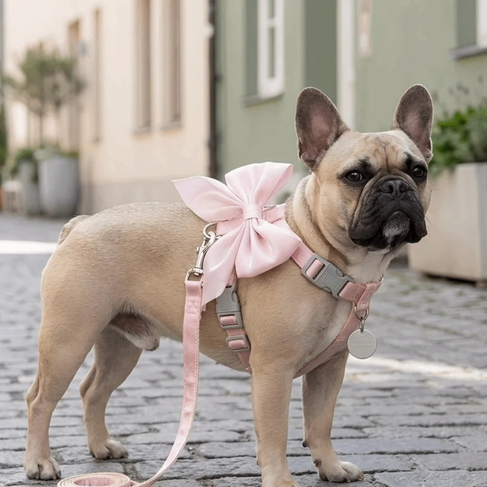 Pet Clothes Adjustable Pet Harness Cute Bow