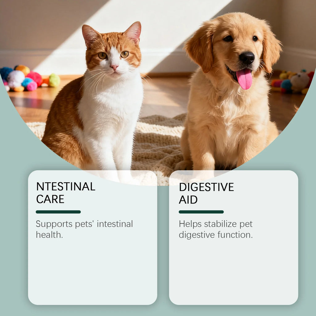Gotas de Colágeno para Mascotas, Cuidado de las Articulaciones, Nutrición de la Piel y el Pelaje, Apoyo Digestivo, Mantenimiento del Sistema Inmunológico, Suplemento Nutricional Líquido 60ml