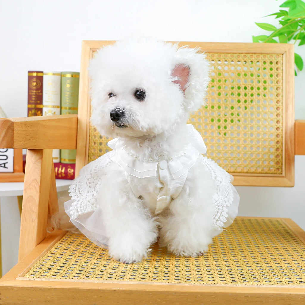 Princess Pet Wedding Dress, Bridal Party Wear