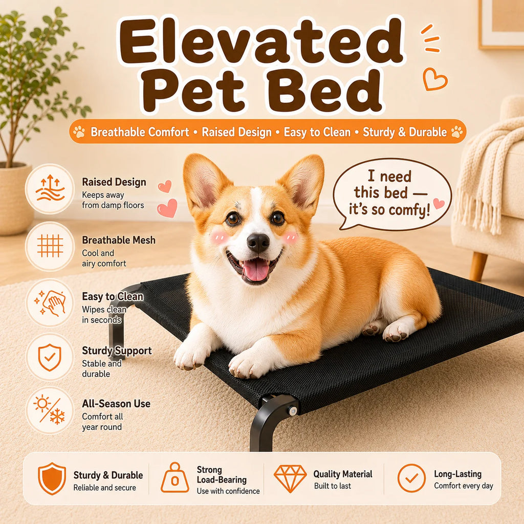 Elevated Pet Bed for Dogs, Washable Dog Bed