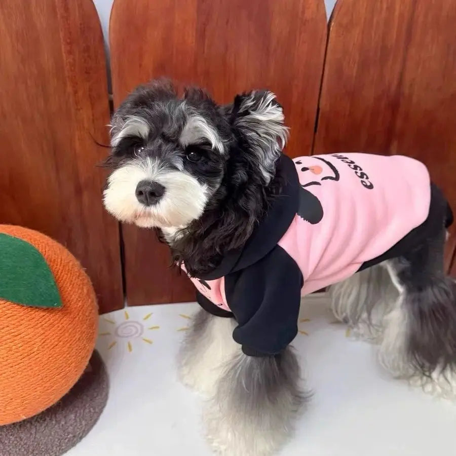Pet cat and dog clothes trendy brand cool handsome