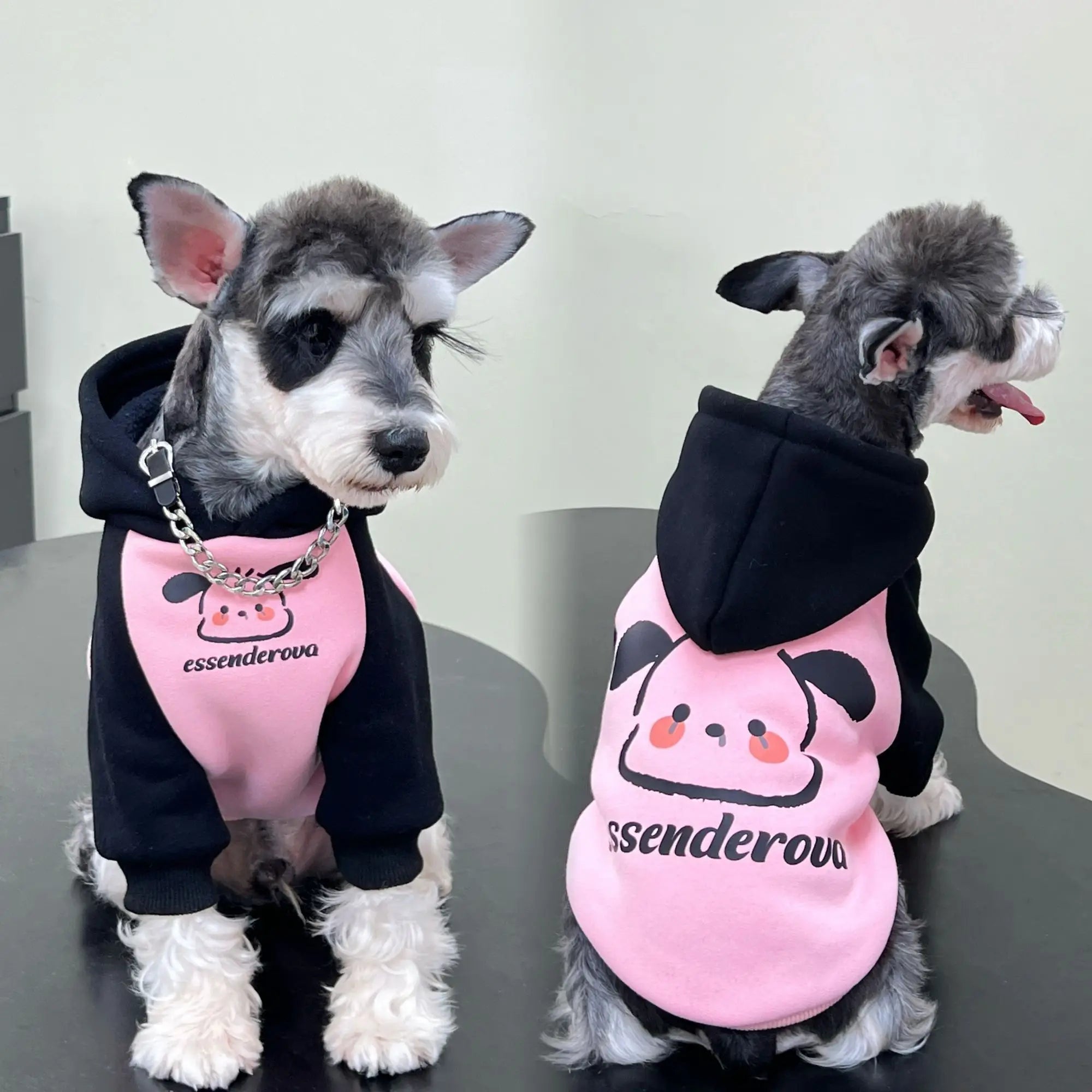 Pet cat and dog clothes trendy brand cool handsome