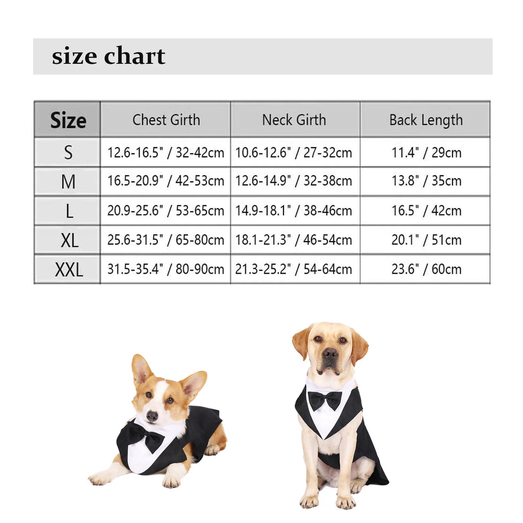 ELEGANT DOG TUXEDO SUIT WITH BOW TIE.