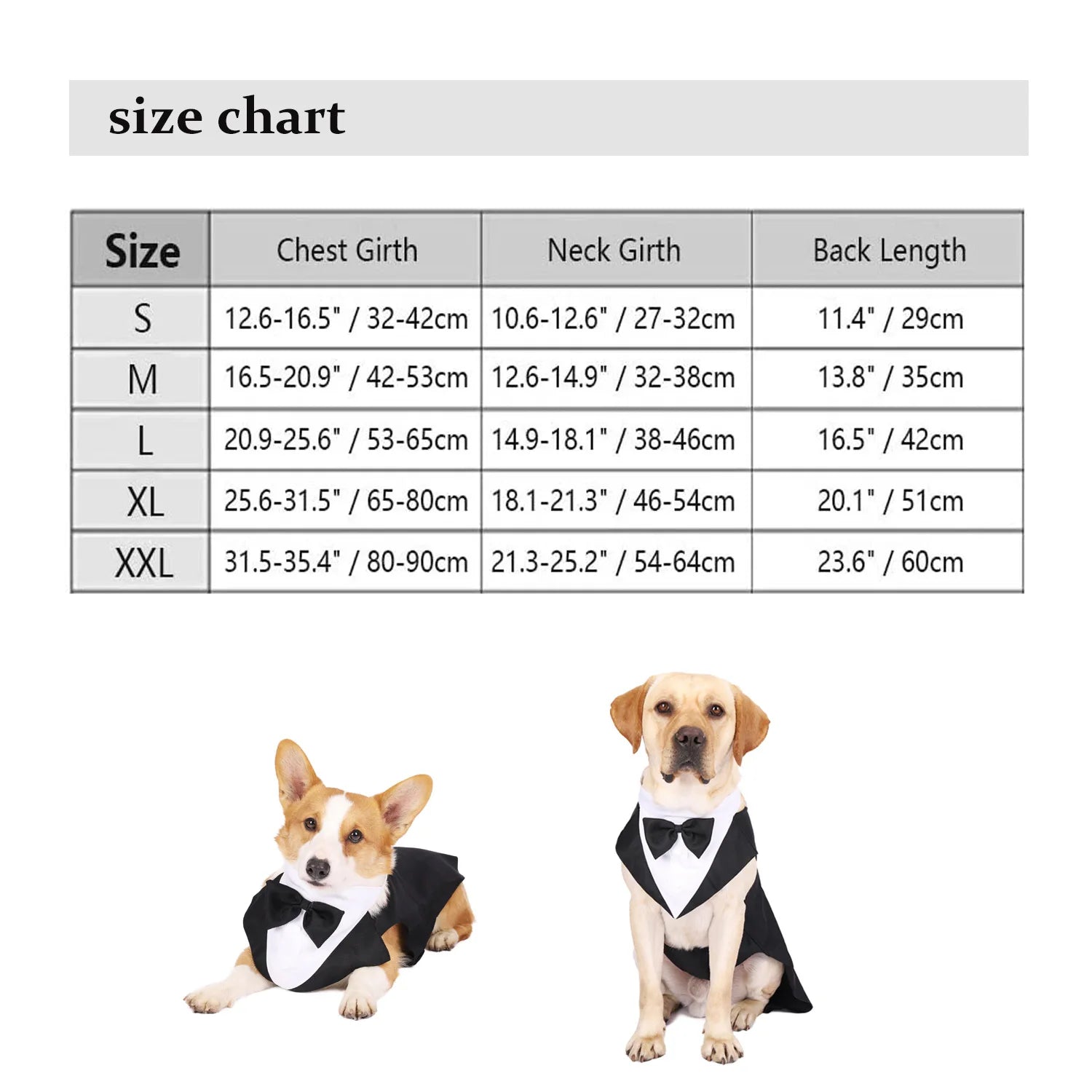 ELEGANT DOG TUXEDO SUIT WITH BOW TIE.