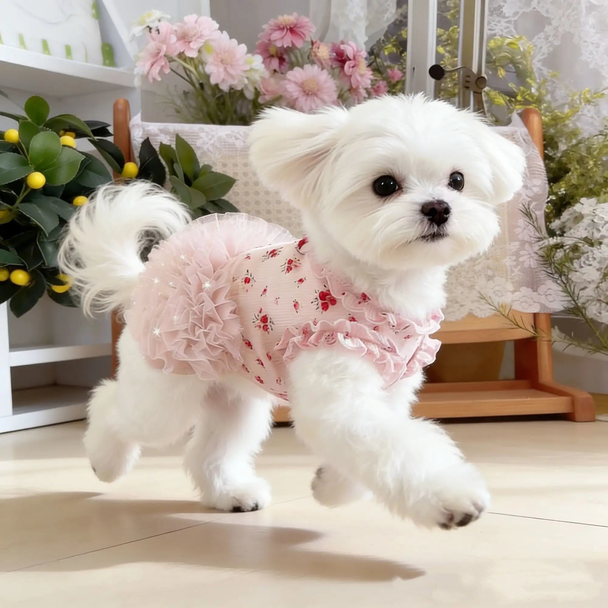 New Pet Clothes Thin Dog Summer